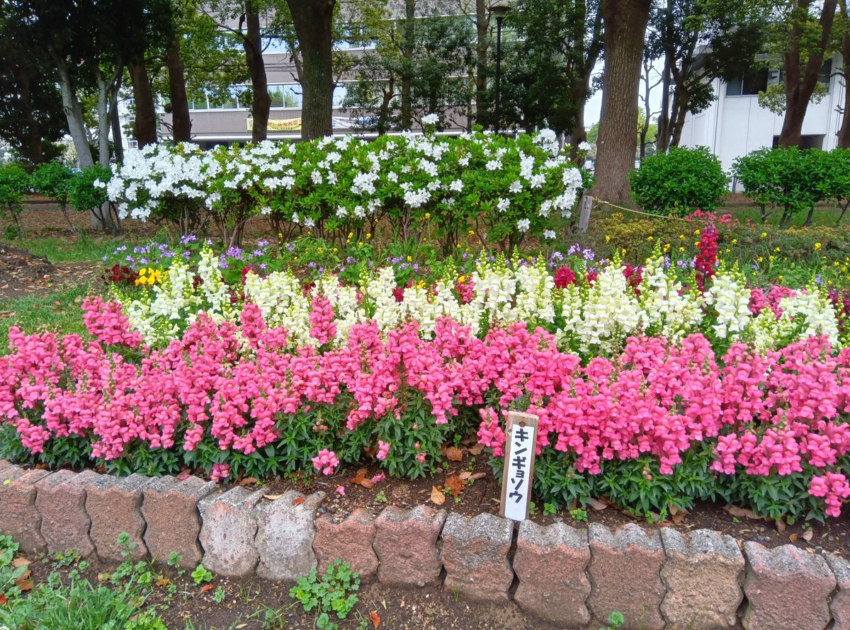 都立赤塚公園 tweet media