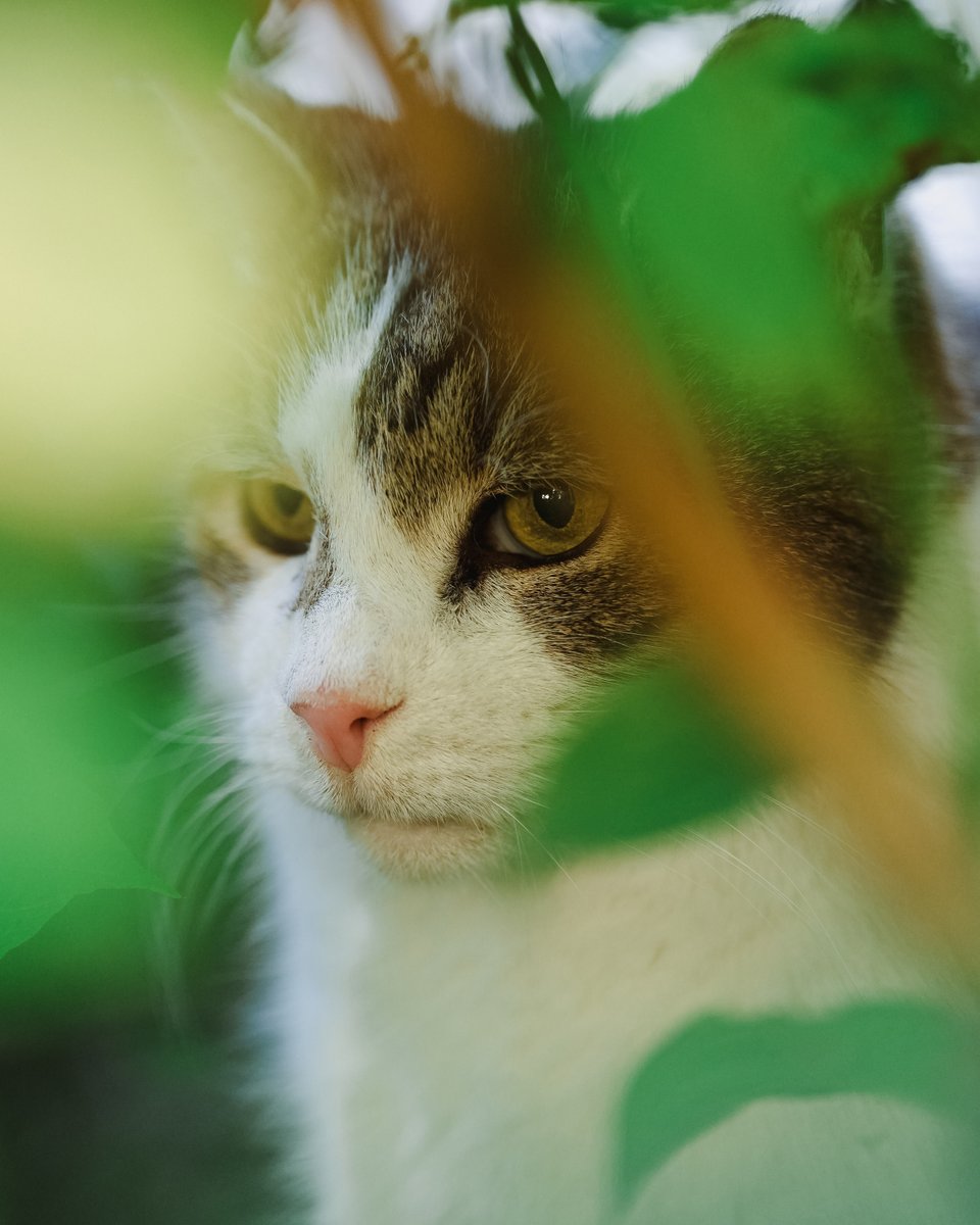 UK in Thailand 🇬🇧🇹🇭 tweet media