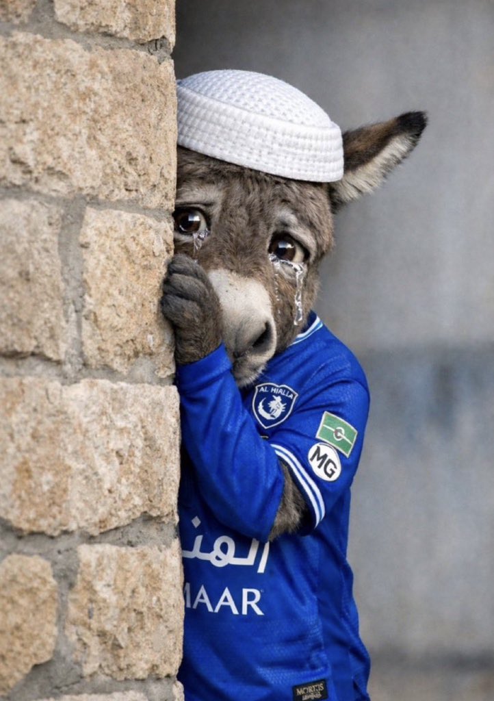 عاشق النصر السعودي 🫶 tweet media