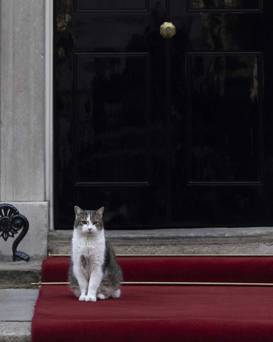 UK in Thailand 🇬🇧🇹🇭 tweet media