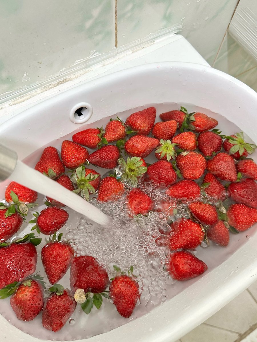 VDuong91968's tweet photo. 🍓 https://t.co/VJSdpW7VV2