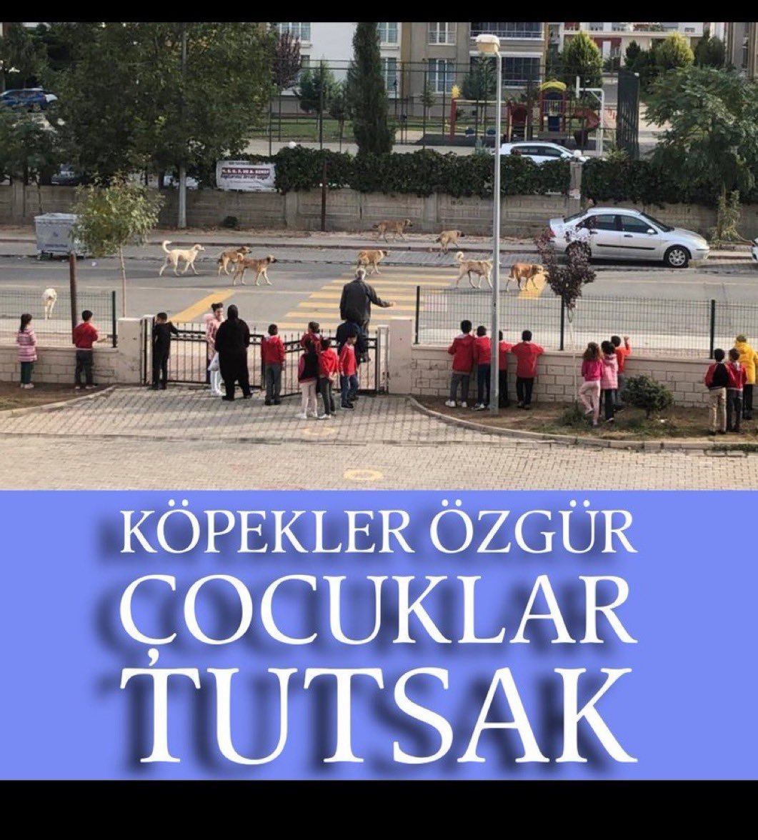 Sarachesarasara's tweet photo. @2_sayfaofficial @okanmermervip Saygıyı o gostersin. Çocuklar onun degil nasıl olsa.
#sokaktabaşıboşolmaz
#sevimemre
#TunahanYılmaz
#eslemteker
#MahraMelinPınar
#metedurna
#MustafaErçetin
#EkremBinak https://t.co/hlDpv0KRIC
