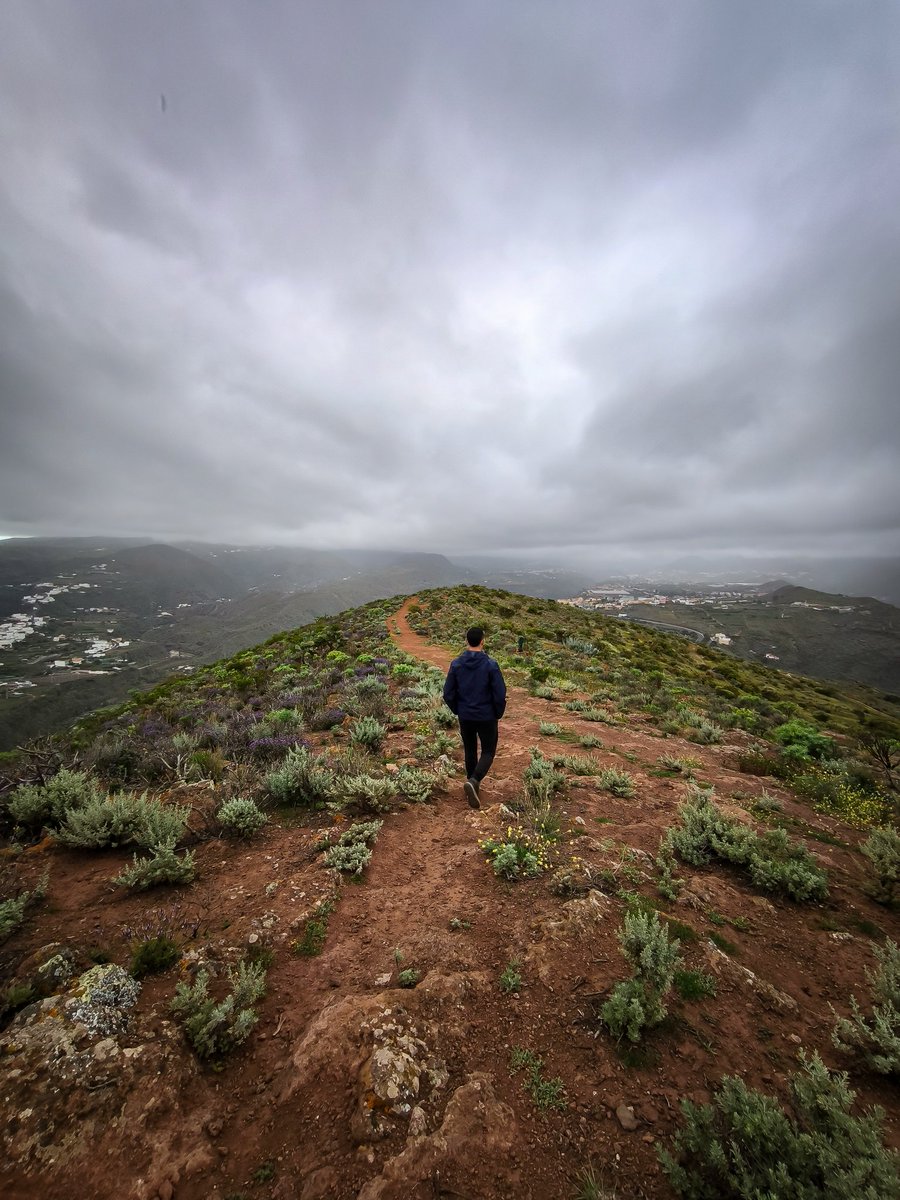 JM ᴄᴀɴᴀʀɪɪ ⵣ❂ tweet media