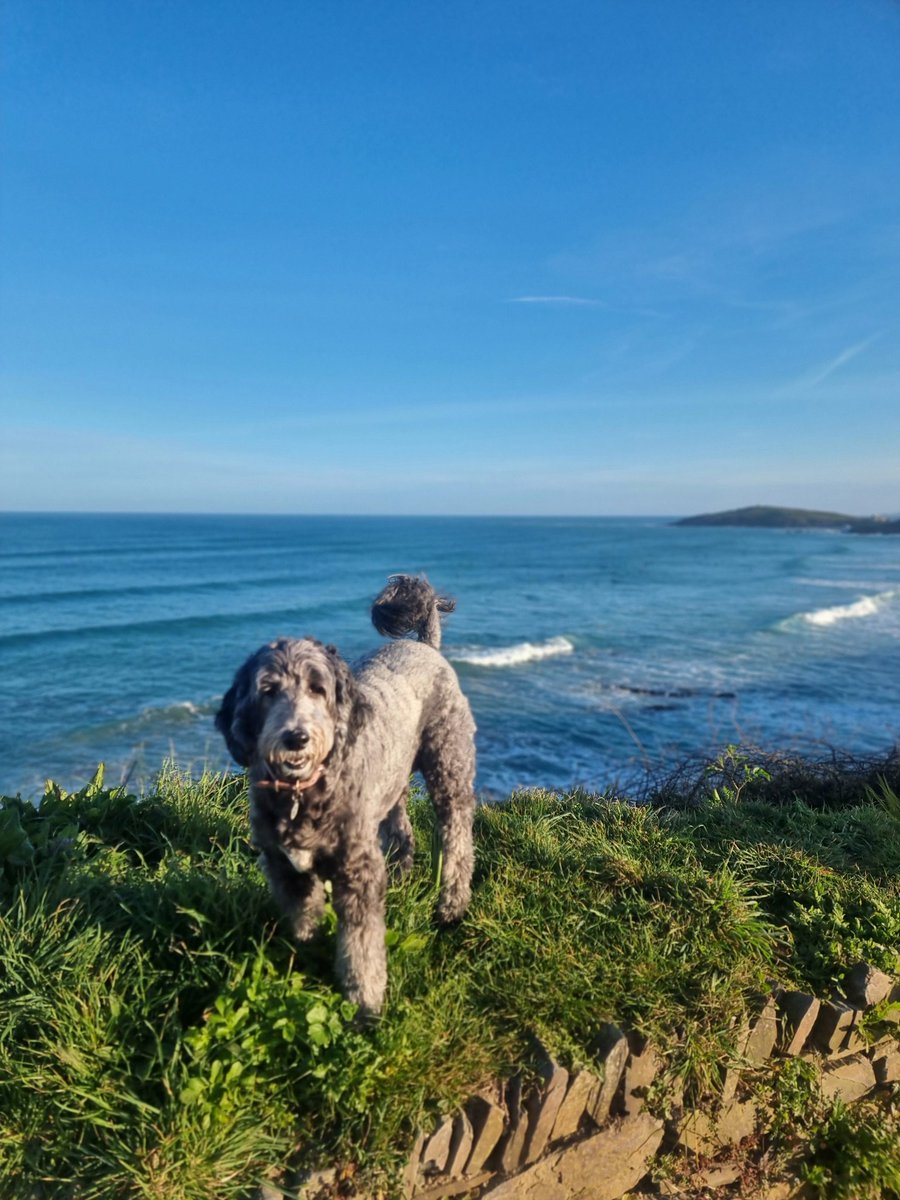 Shaun winner tweet media