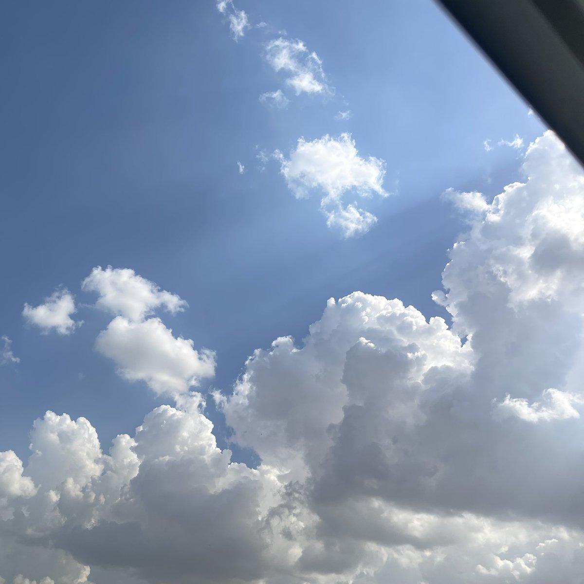 Ren🇮🇶 tweet media