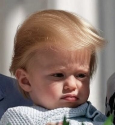 Autodrop tweet media