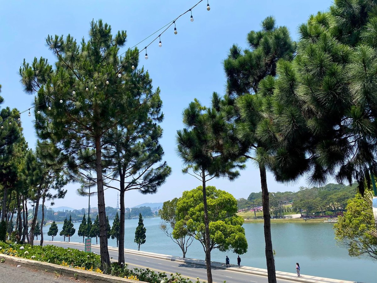 Hoang02368's tweet photo. khi em đơn giản, nhân gian đều là khung cảnh đẹp 💙
#dalat https://t.co/6Q3AtIq4We