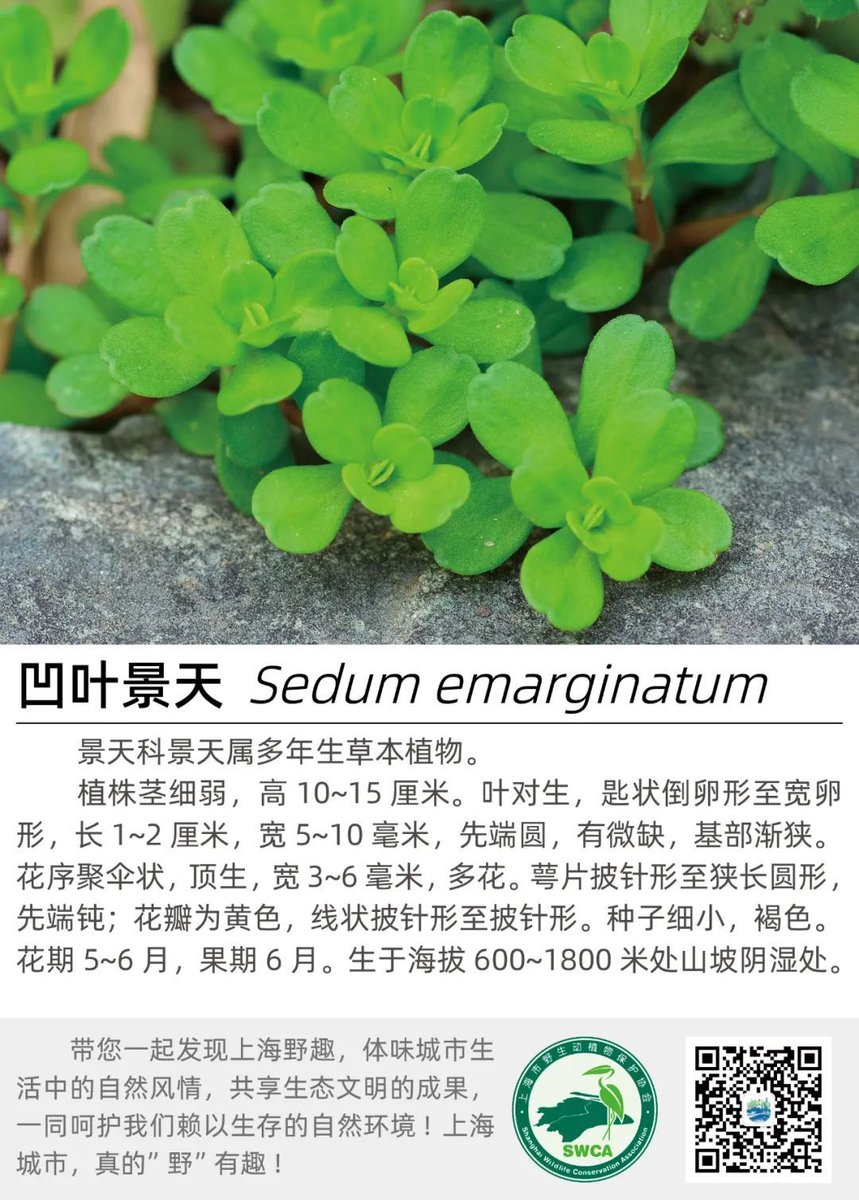 BiaRo Silva tweet media