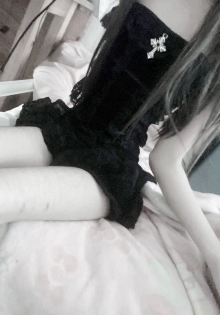 ane ฅ≽(•⩊ •マ≼ tweet media