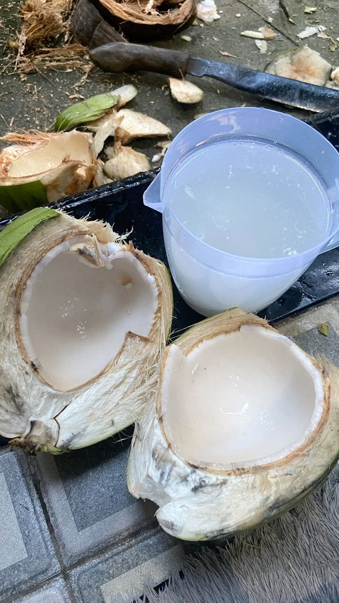 sarah ayu tweet media