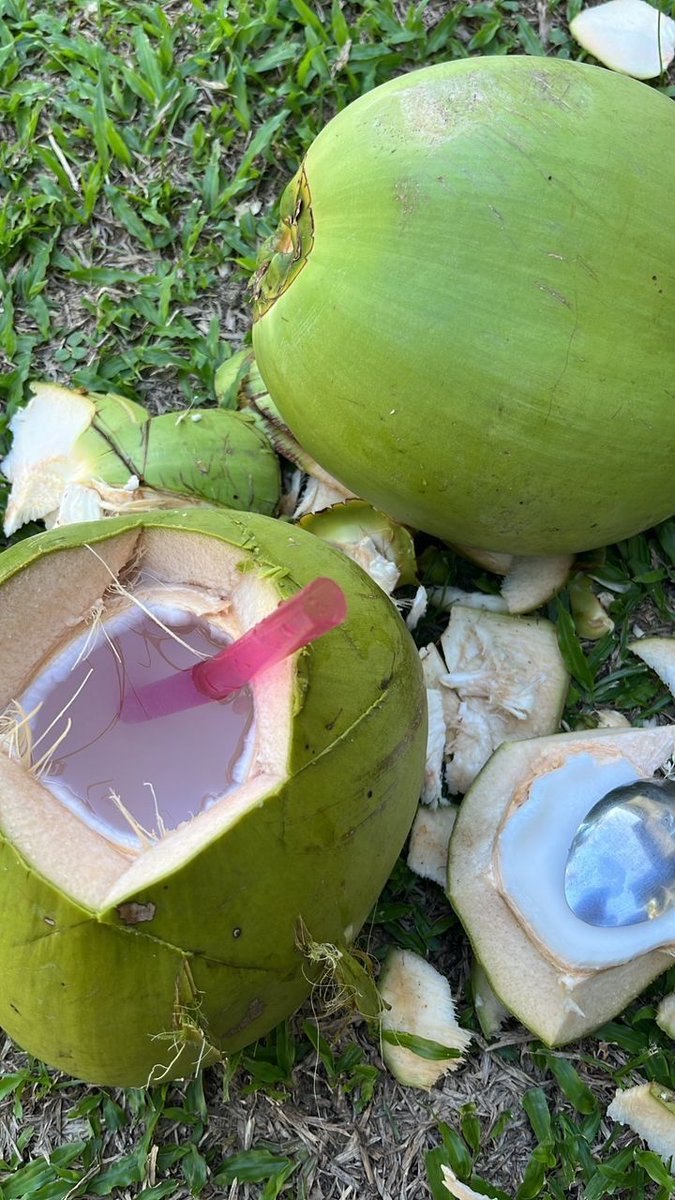 sarah ayu tweet media