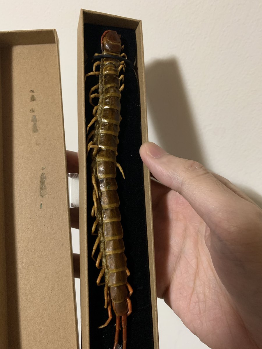 ぽんとごたんだ@桐谷さん最新4月発売 tweet media