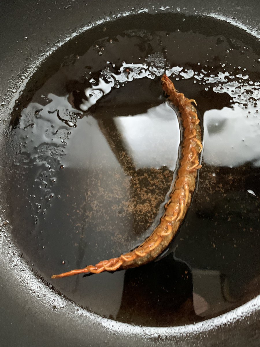 ぽんとごたんだ@桐谷さん最新4月発売 tweet media