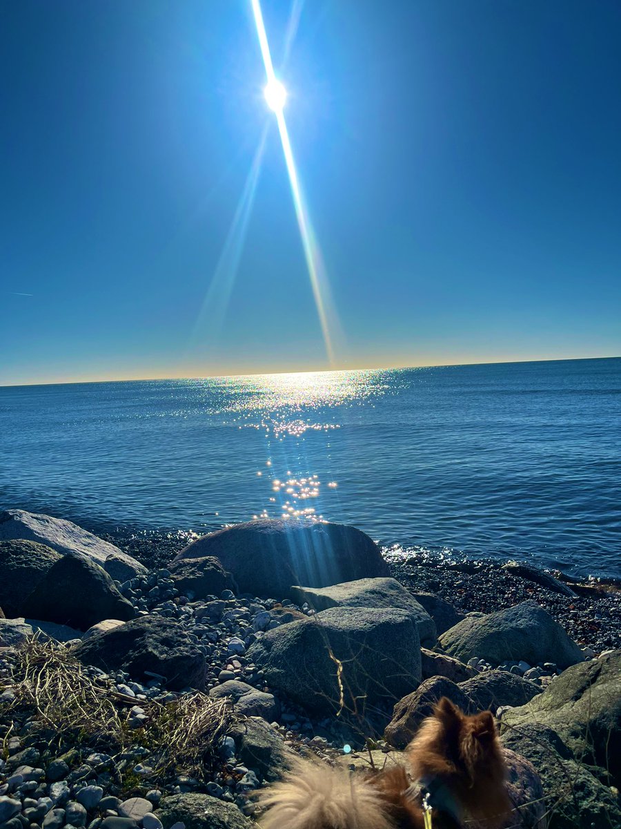 Marlene Wan Kenobi®️ tweet media