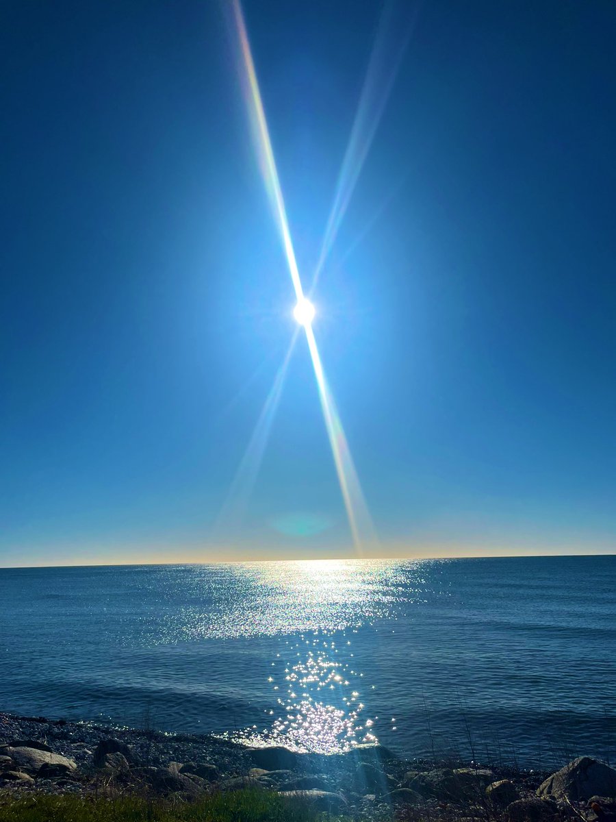 Marlene Wan Kenobi®️ tweet media