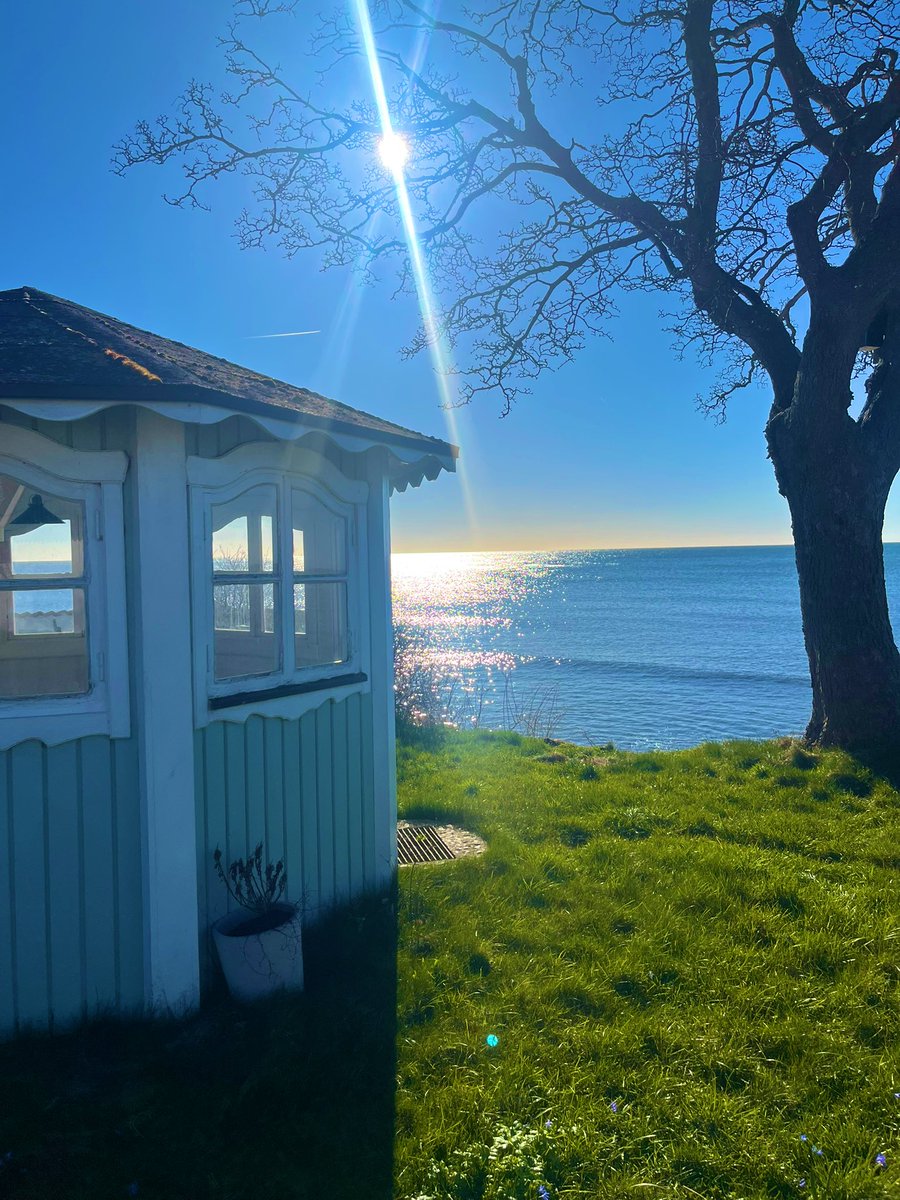 Marlene Wan Kenobi®️ tweet media