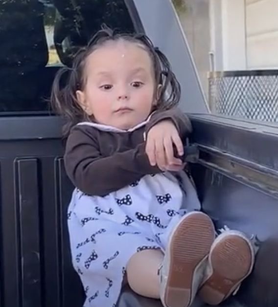 JustGray tweet media