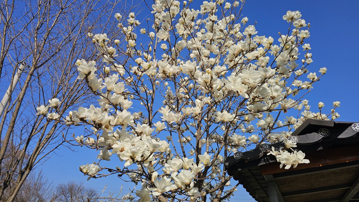 ㅇㄴㄱ tweet media