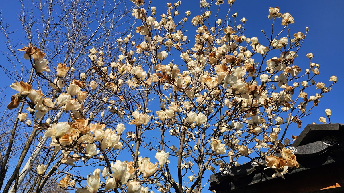 ㅇㄴㄱ tweet media