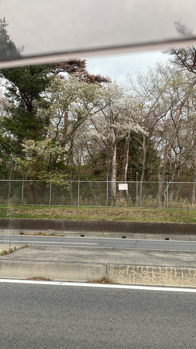 duck-k310t＠五弦道！ tweet media