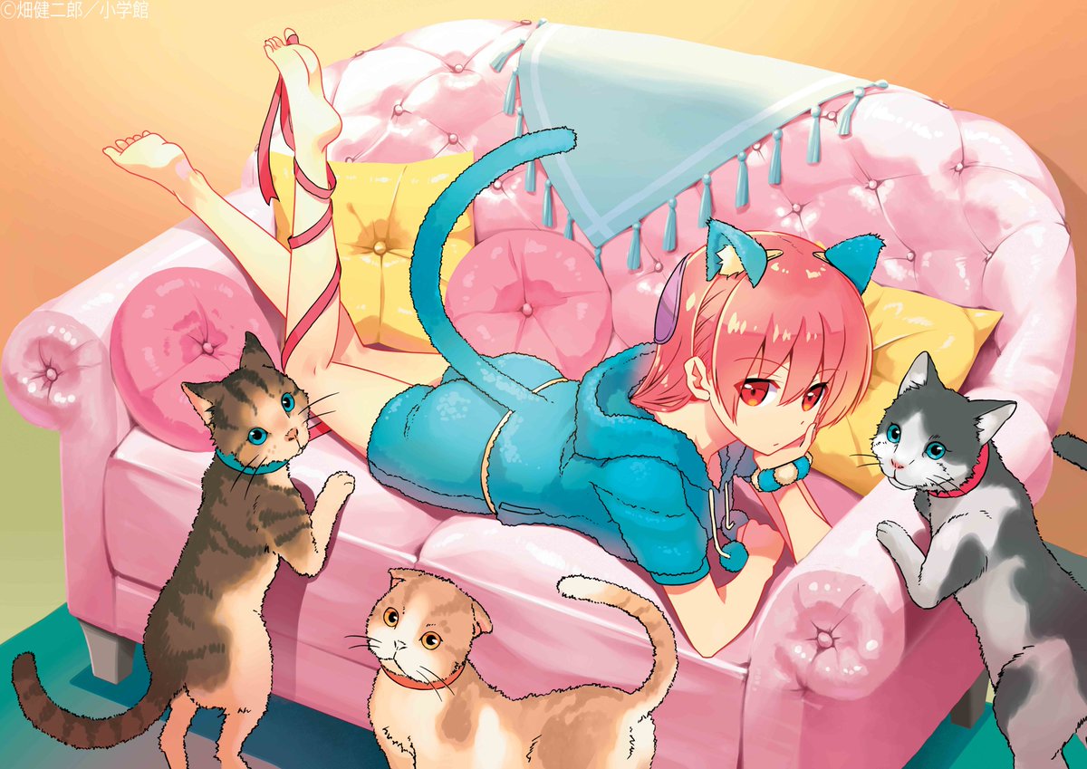 トニカワ・ハヤテ完全版 公式 tweet media