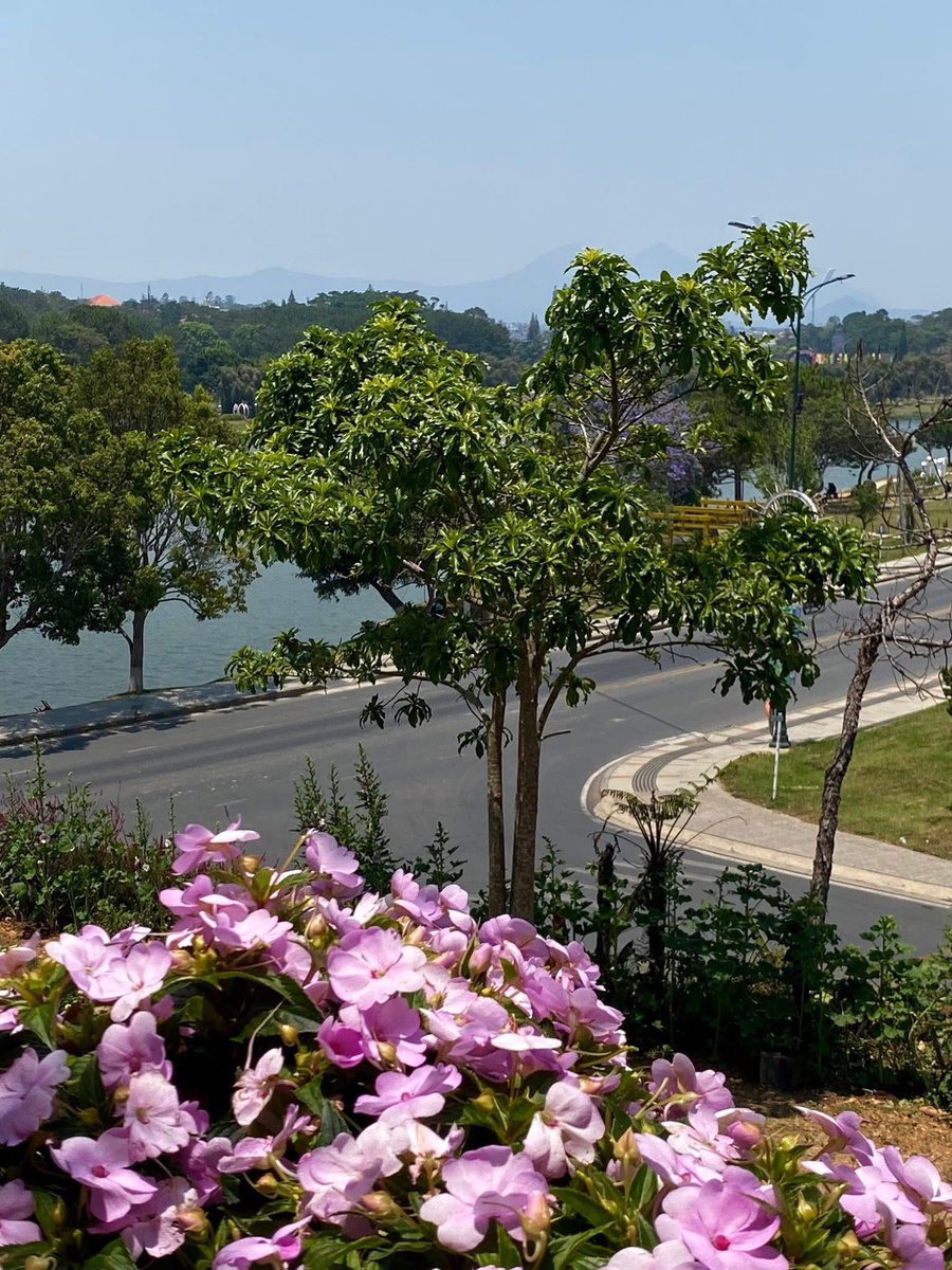 Hoang02368's tweet photo. Hẹn gặp lại nhau khi mùa hoa nở nhé! https://t.co/9lSgpOgG8d