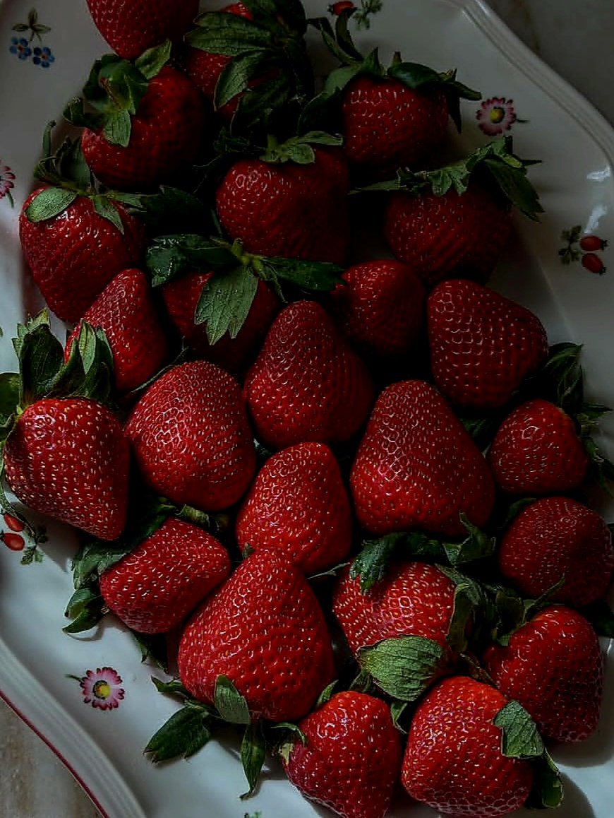 mohamad diab tweet media