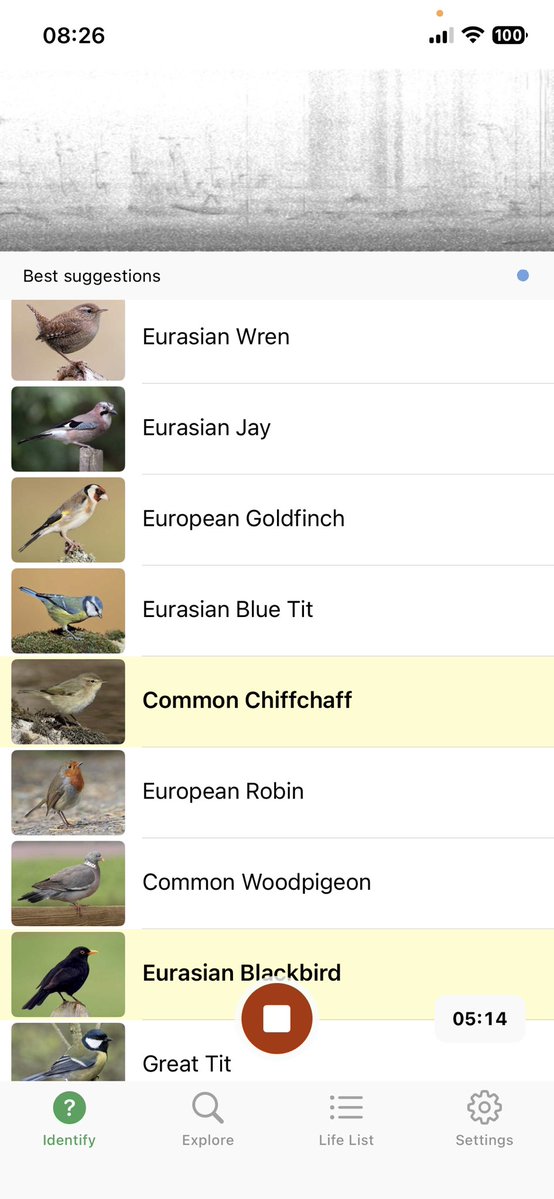 NG4 online tweet media