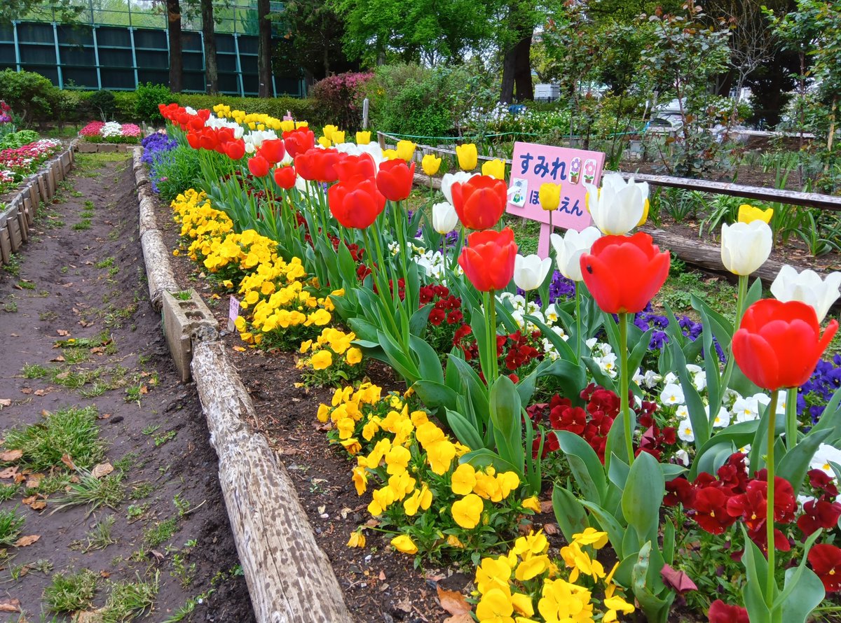 都立赤塚公園 tweet media