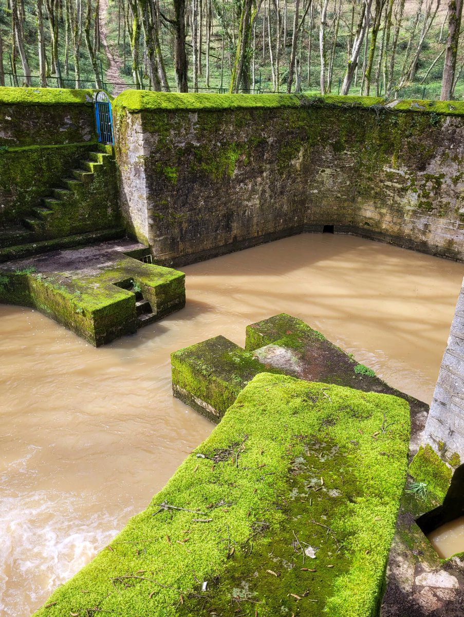 humihb's tweet photo. Belgrad 🌳💦 https://t.co/wS20XB4TJo