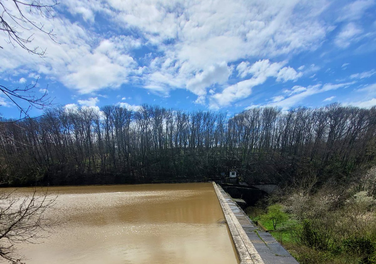 humihb's tweet photo. Belgrad 🌳💦 https://t.co/wS20XB4TJo