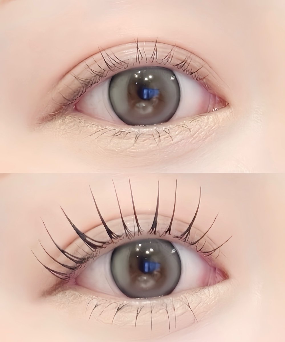 めぐりん tweet media