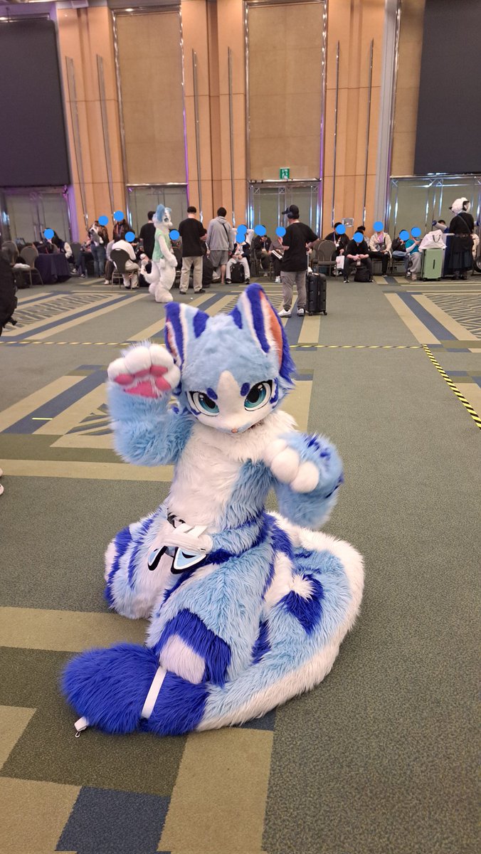 피코 / 파코,에코 🔜 playx4 tweet media