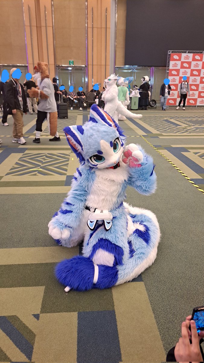 피코 / 파코,에코 🔜 playx4 tweet media