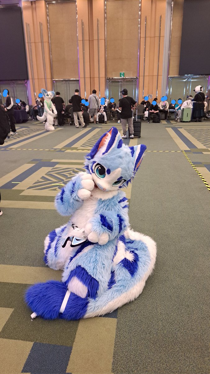 피코 / 파코,에코 🔜 playx4 tweet media