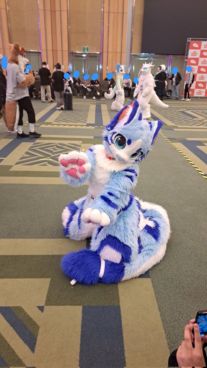 피코 / 파코,에코 🔜 playx4 tweet media