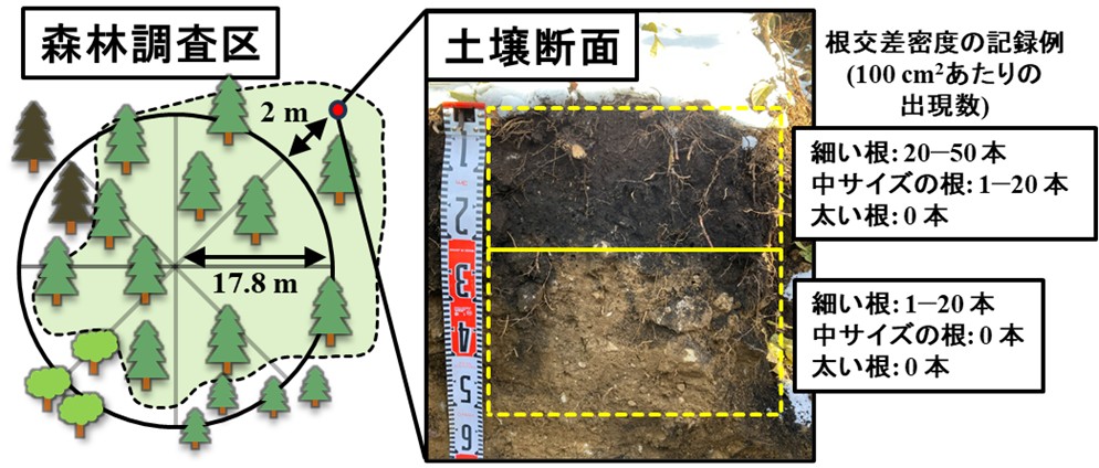 森林総合研究所（森林総研） tweet media
