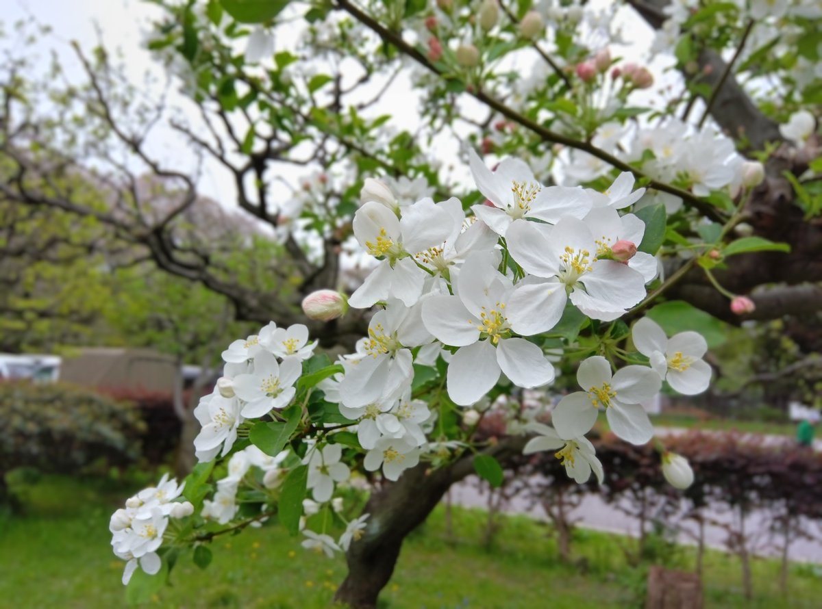 都立赤塚公園 tweet media