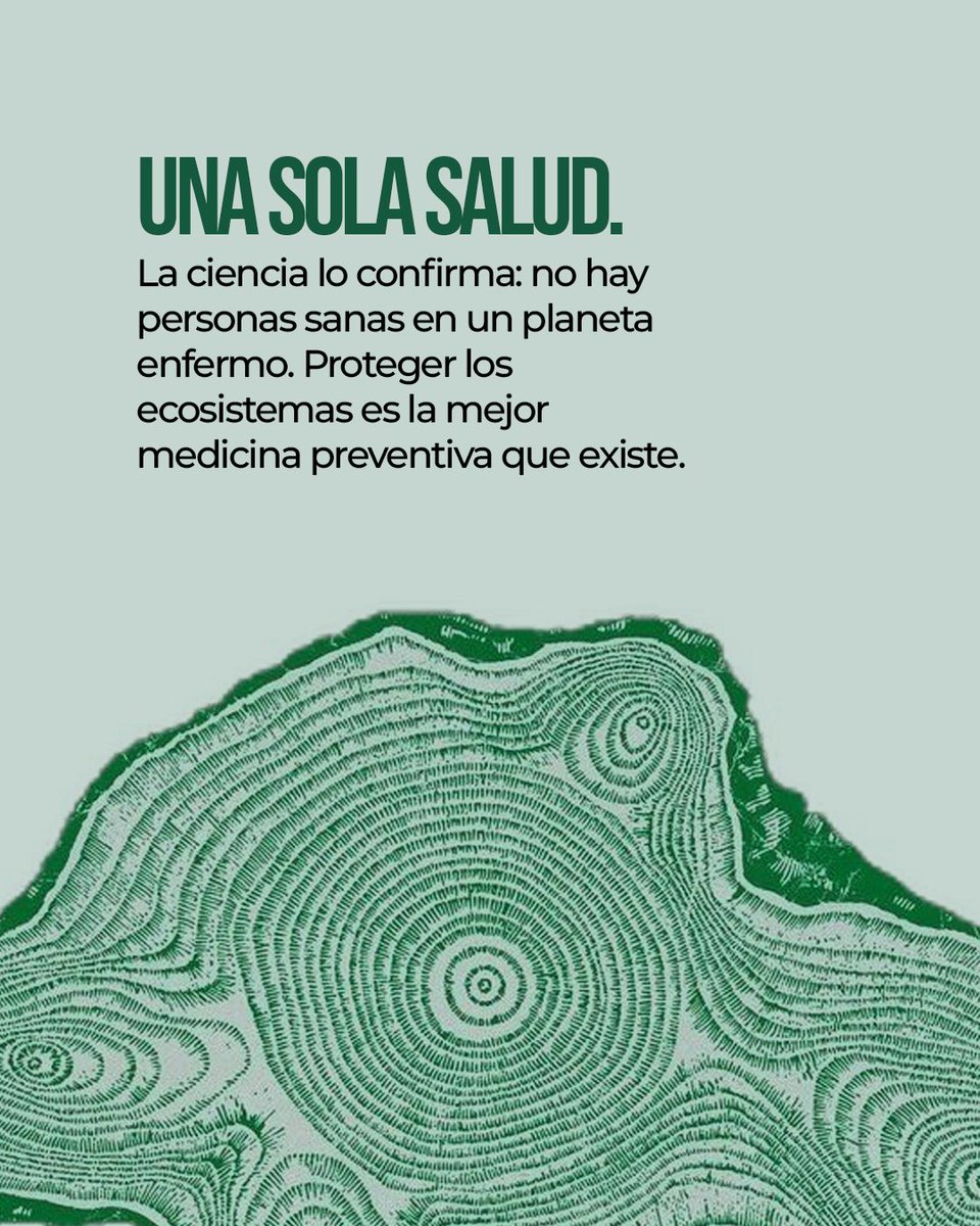 Partido Verde tweet media