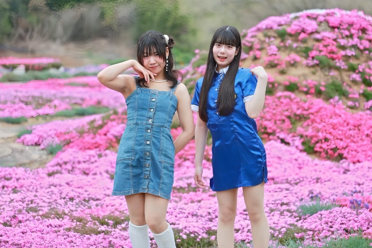 ⌘すっとんだ次郎 tweet media