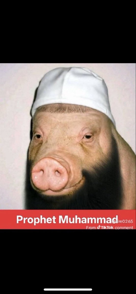 Jorge Zamora tweet media