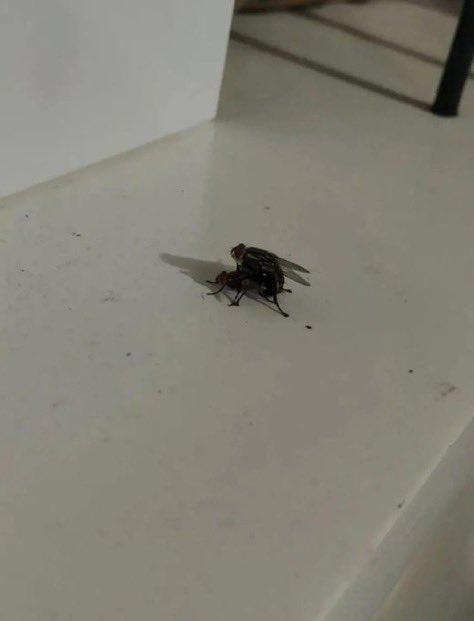 Emmanuel 💫 tweet media