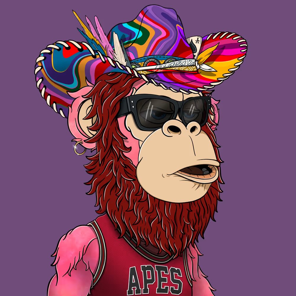 DDishOZ👑 tweet media