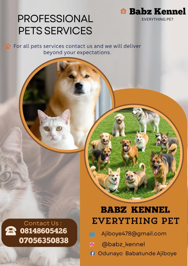 Babz kennel tweet media