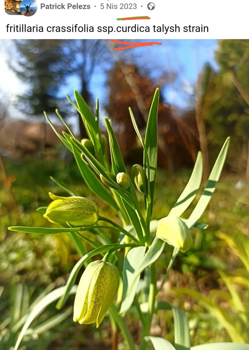 Bulaşık Makinesi tweet media