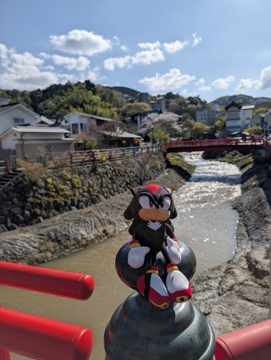 Ham (Travelling the World) @ 🇯🇵 tweet media