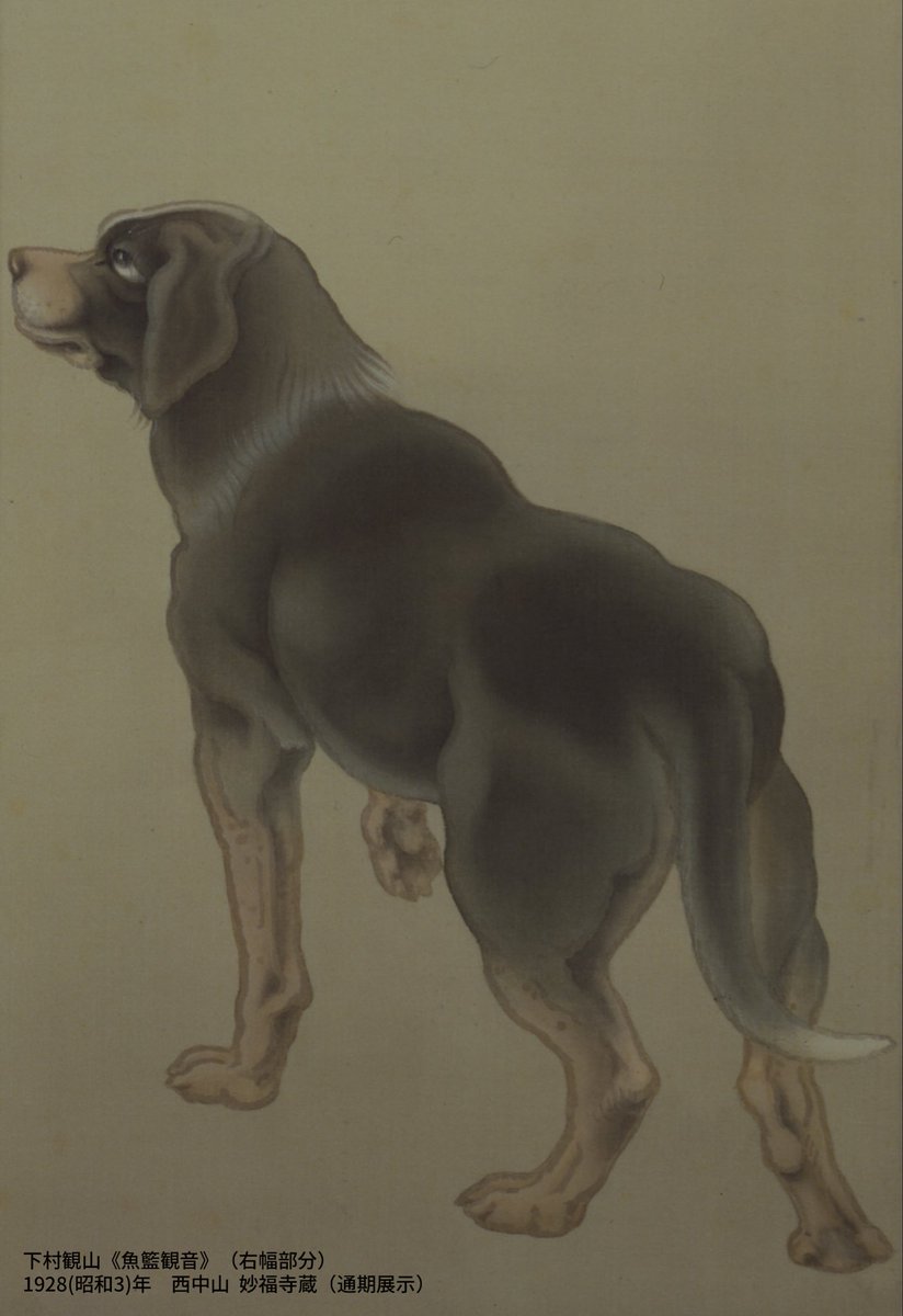 MOMAT_museum's tweet photo. #下村観山展 は、中国の故事や能に登場する人物だけでなく、動物たちも見どころの一つです。《魚籃観音》の右幅にいる筋骨隆々な犬や、墨だけで表された《狐の婚礼》などの姿は、観山が幅広い表現技法に長けていたことを示しています。
ぜひ会場にて観山が描いた動物たちを探してみてください🐶🔍 https://t.co/lx7JbYLXd1