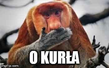 ROBERT GORCZYCKI tweet media