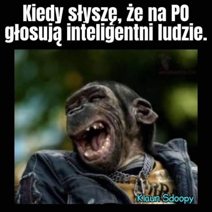 ROBERT GORCZYCKI tweet media