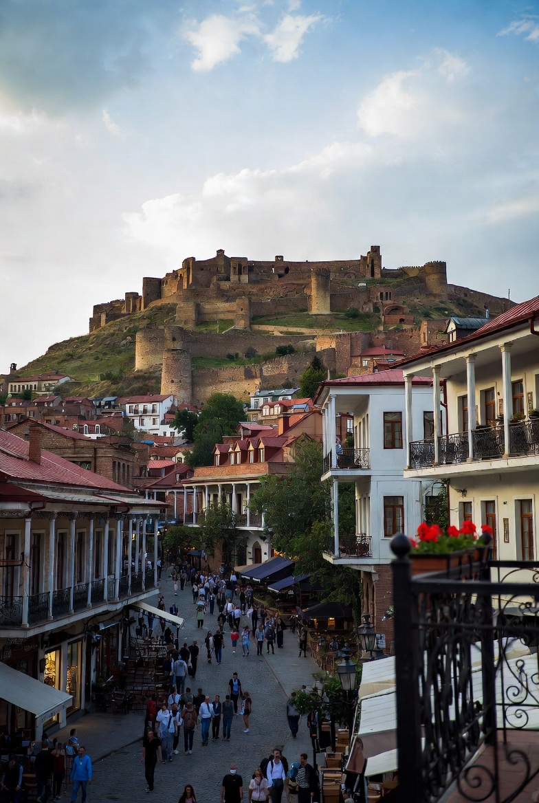 TazCoLab tweet media